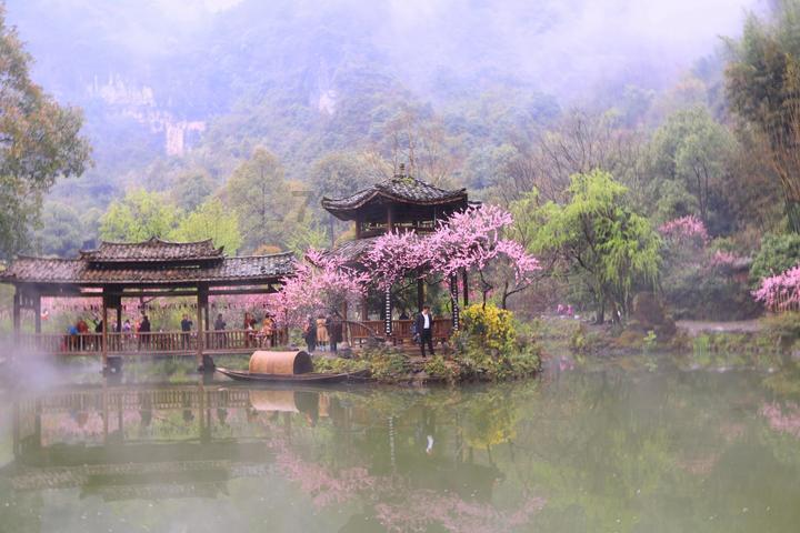 广东两会|胡智荣委员:促进慈善事业发展助力粤港澳大湾区高质量建设