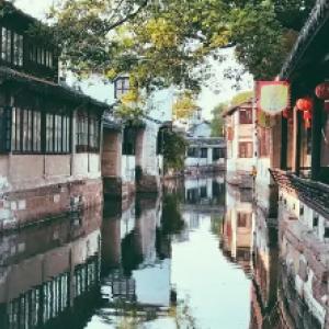 拯救小犀牛